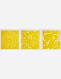 Art*Maharishi Ye-90, 91 U0026 92 Triptych Yellow
